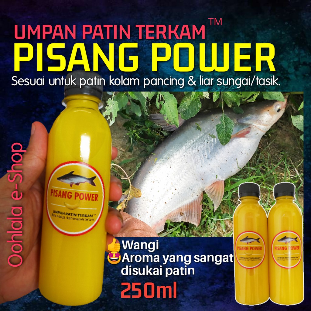 Umpan patin sungai