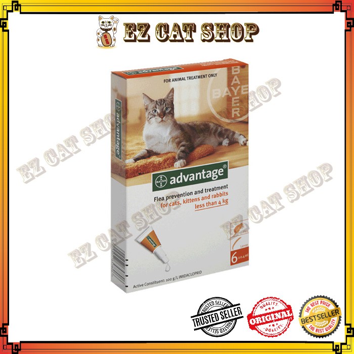 advantage flea and tick for cats