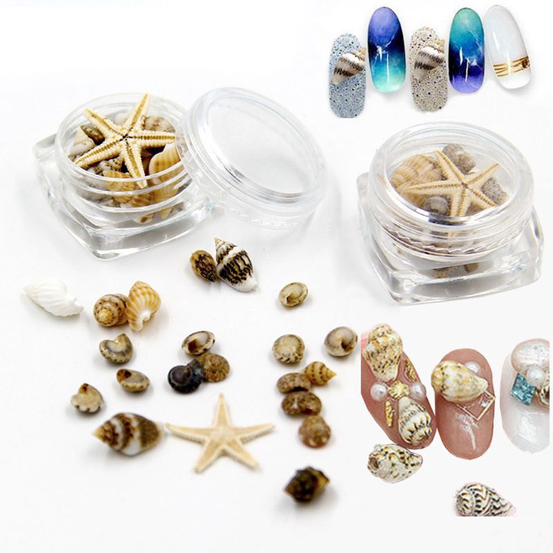 FLGO* Small Natural Beach Seashell Starfish Nautical Decor Nail Art Jewelry Making