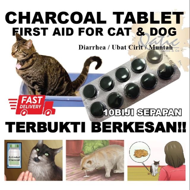 ubat cirit birit kucing