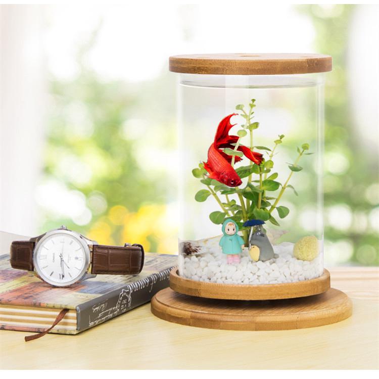 1Pcs Bamboo Base Glass Betta Fish Tank Mini Rotate Aquarium Fish