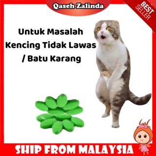 NEPHTONE ] UBAT KIDNEY/BUAH PINGGANG KUCING