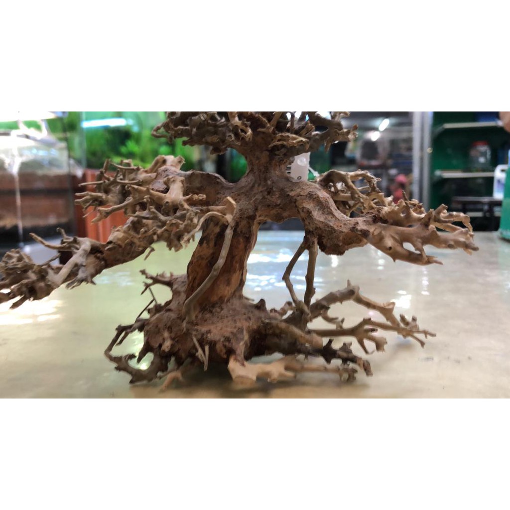 Bonsai Wood Nano Size Aquascape Shopee Malaysia