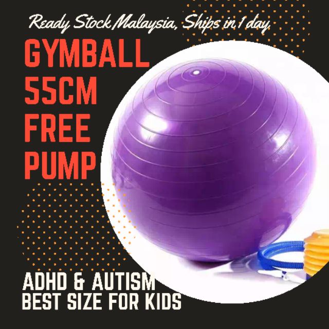 Gymball 55cm gym ball occupational therapy autism ADHD bola yoga for