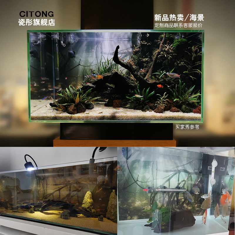 freshwater fish tank background