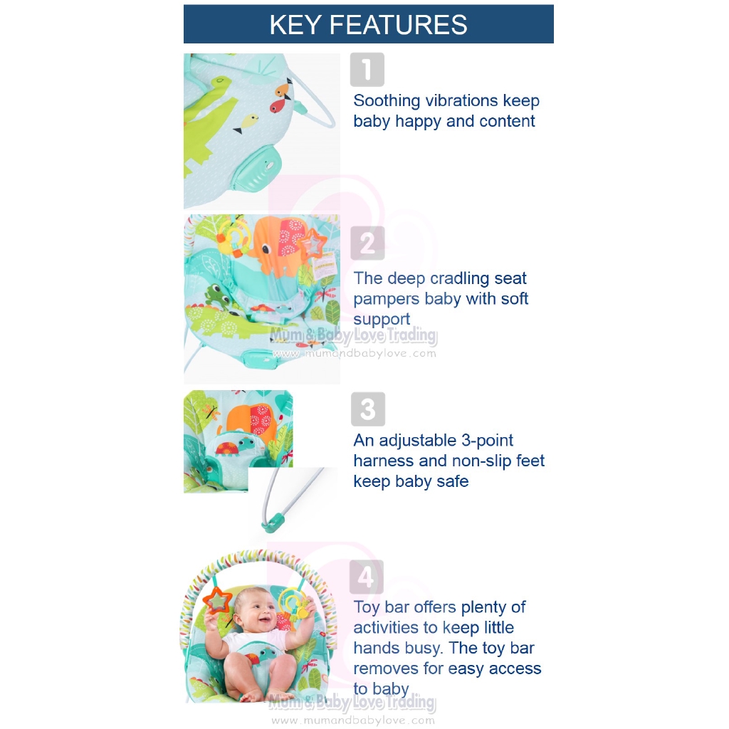 raindrop rainforest bouncer