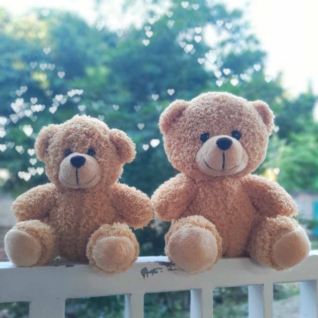 wholesale teddy