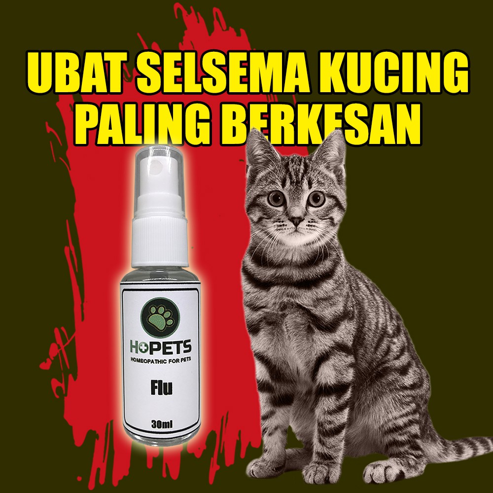 Ubat Selsema Kucing - Ubat Selsema Kucing Spray Homeopathy 30ml