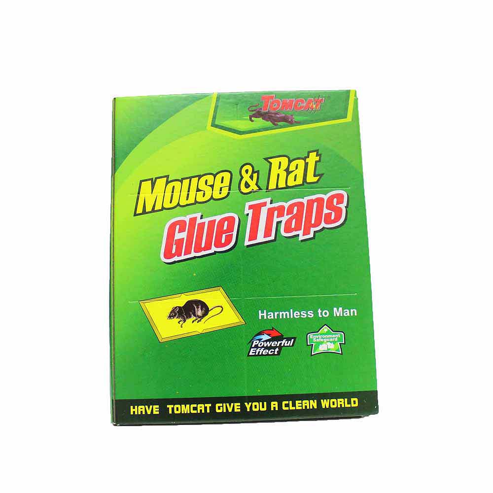 AS Non-toxic Sticky Mouse & Rat Glue Traps (Green) | Shopee Malaysia