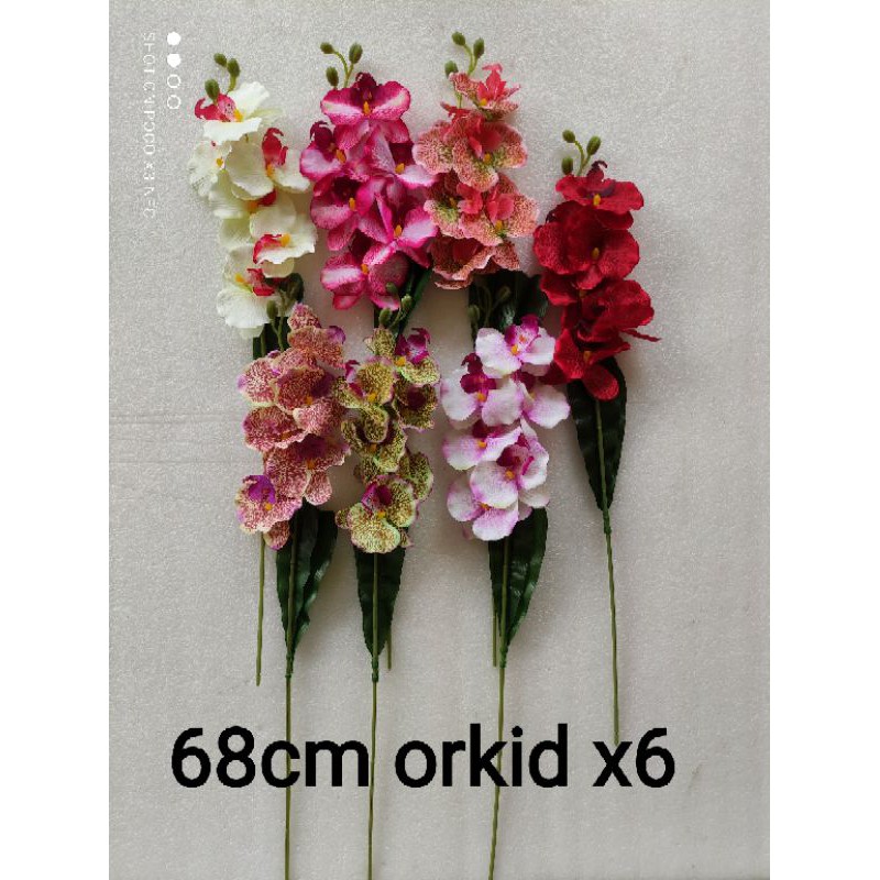 Orchid with leafs/ Orkid murah/ Bunga Orkid Hiasan with ...