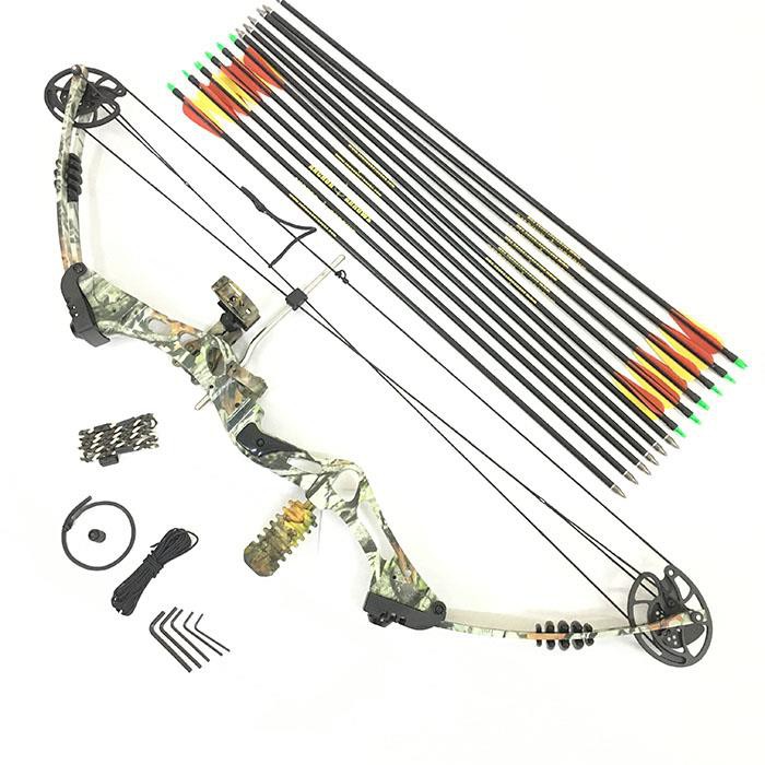 compound bow and arrow set