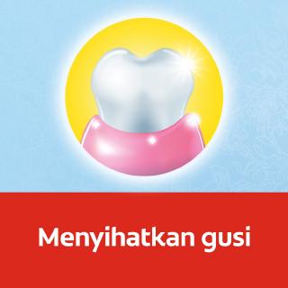 Colgate Toothpaste Ubat Gigi Kayu Sugi Herba Asli 