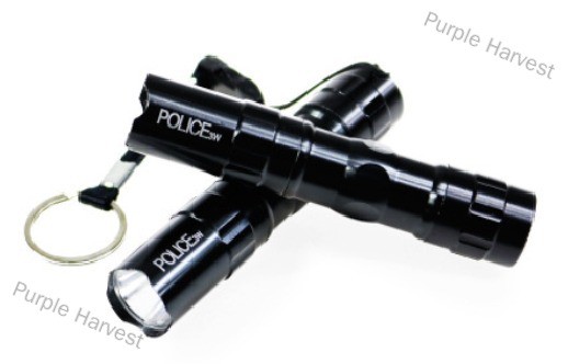 Purple Harvest READY STOCK Mini LED Focus Light 3W Aluminium Case Camping Torchlight Flashlight Torch Light