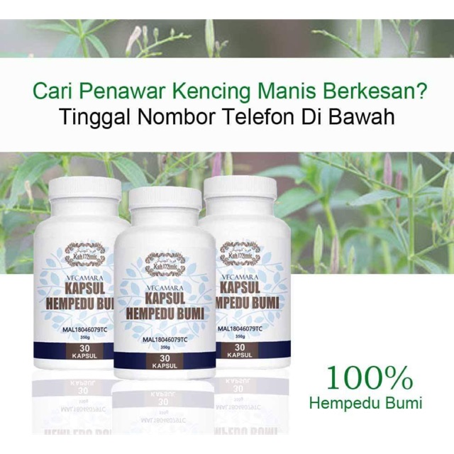 Kapsul Hempedu Bumi Kencing Manis 30 kapsul | Shopee Malaysia