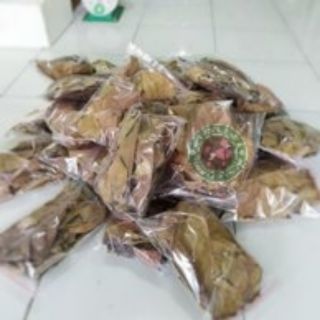 Ketapang, daun ketapang 10 helai , ketapan, leaf, ikan 