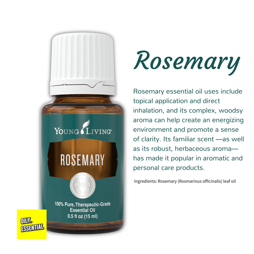 Rosemary Essential Oil 15ml 100 Original Yl Yleo Rose Mary Bunga Rosmari 迷迭香 Shopee Malaysia