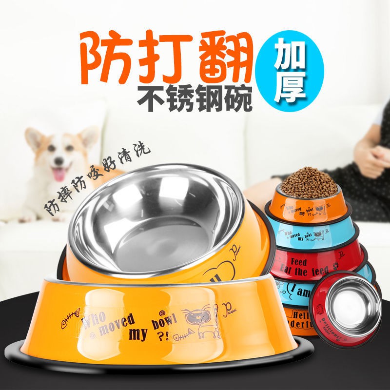 dog food bowl large