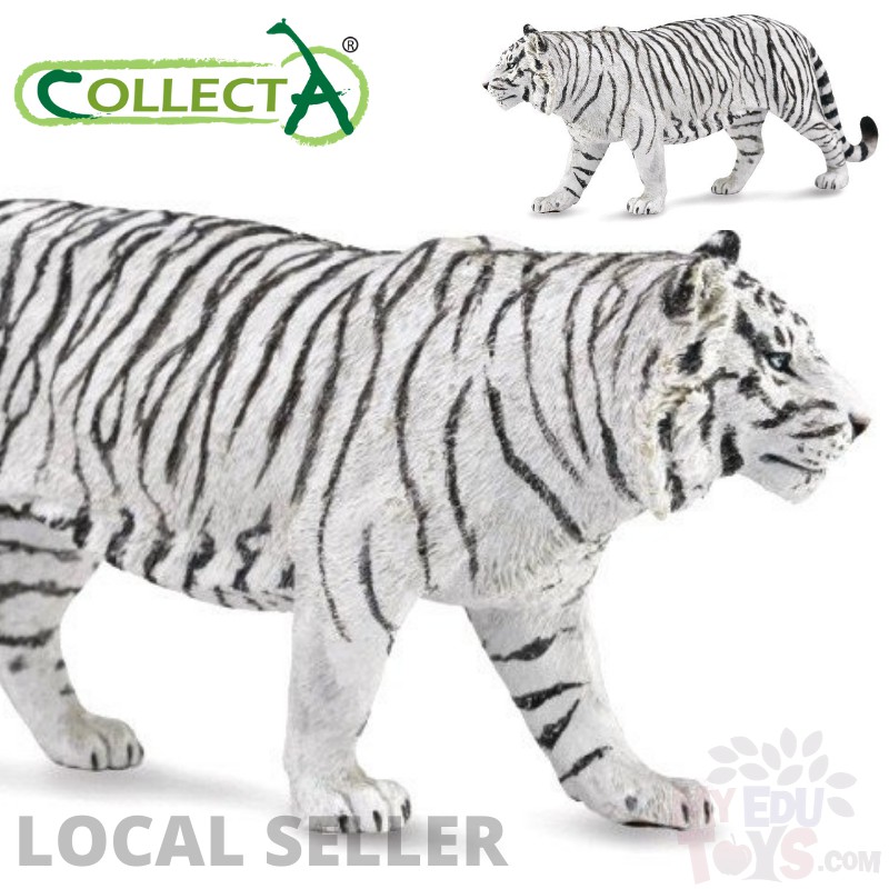White Tiger - Collecta 88790 Wild Life Animal Action Figure / Toy Figurine Collection Toy For Kids, Children, Boy, Gir