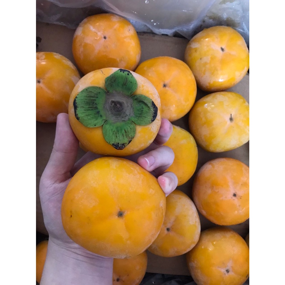 Seedless Persimmon / 脆甜柿子