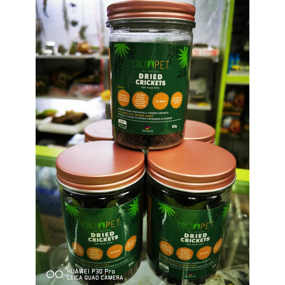 All Natural Dried Crickets 80g (Arowana / Reptile / Turtle / Fish Food) Shopee Malaysia