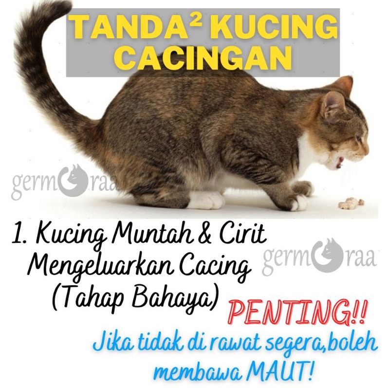 Ubat Cacing Kucing Anjing Kitten Adult Cat Pet Deworm Wormnil 60ml Shopee Malaysia