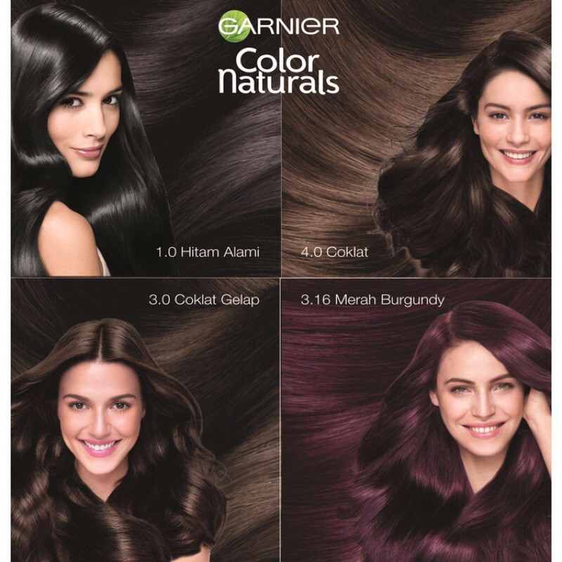 Garnier hair color reviews