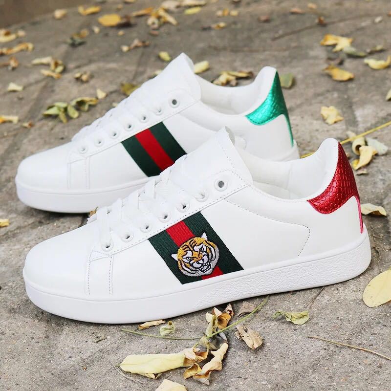 gucci sneakers dog