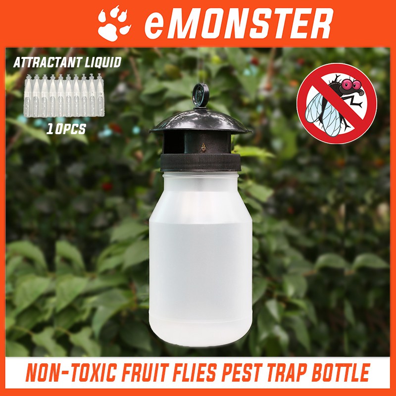 fly catcher bottle