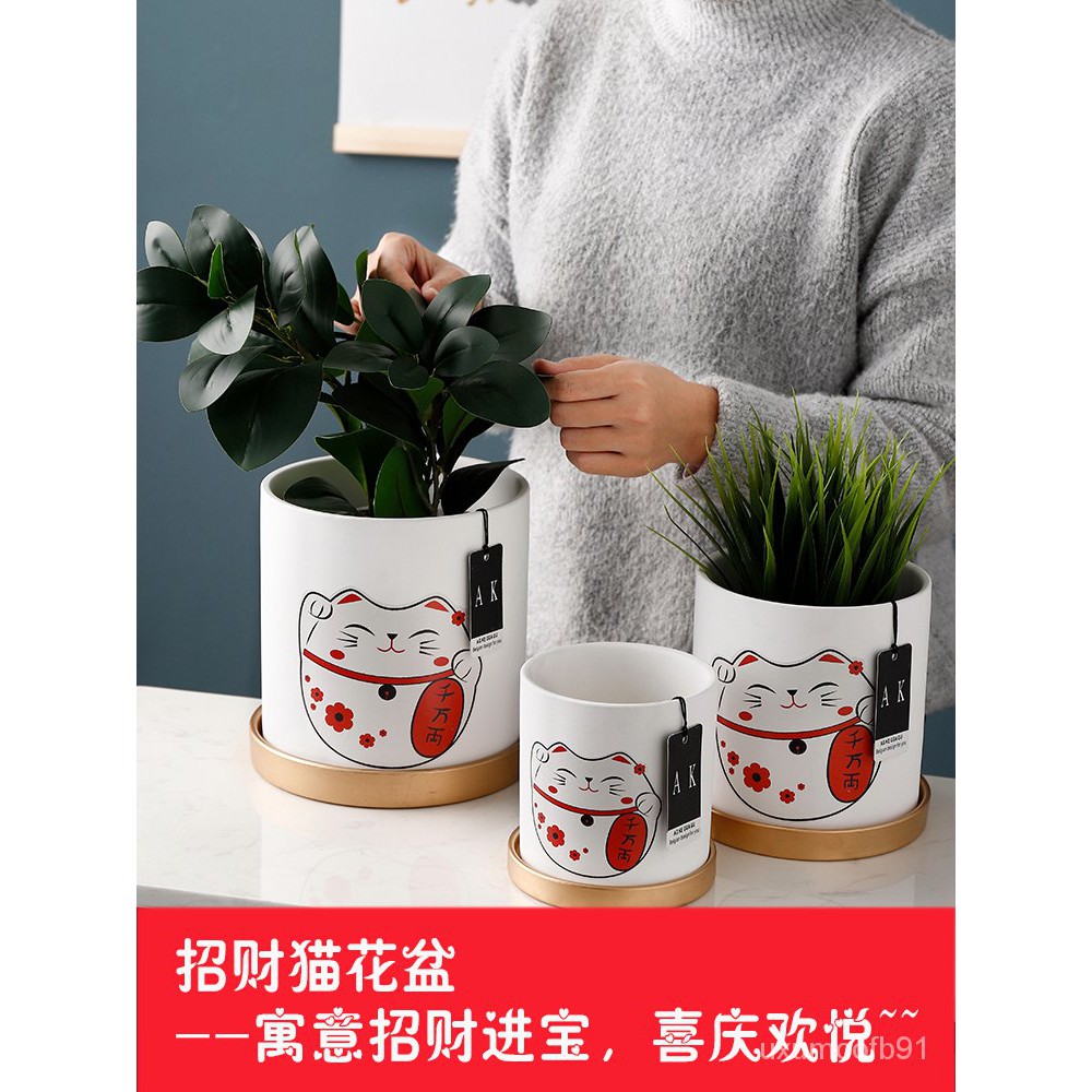 Flowerpot Nordic 北欧风家居家用陶瓷花盆现代简约创意个性招财猫绿萝带托盘大口径