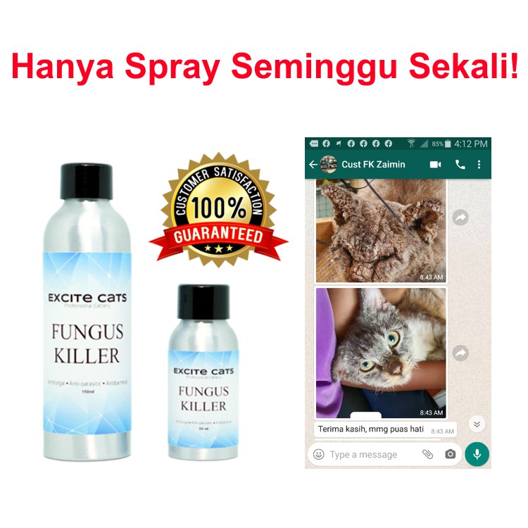 Excite Cats Fungus Killer VIP  ubat spray fungus kucing / ubat kurap