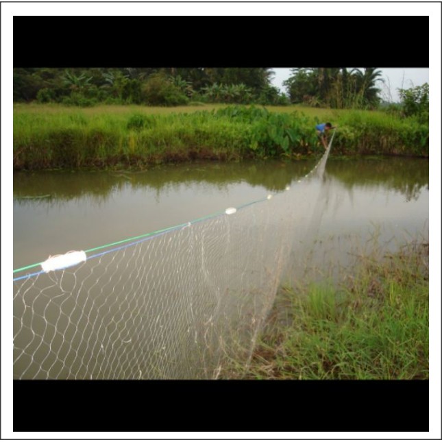 Harga Jaring Ikan Di Malaysia