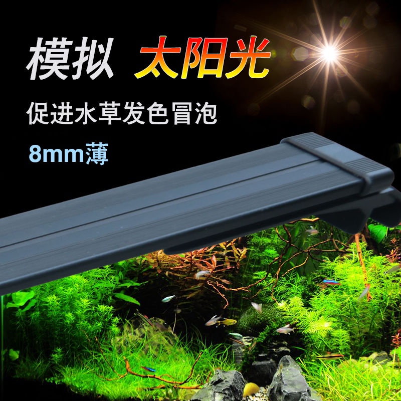 鱼缸照明led鱼缸灯水草灯水族箱led灯小型支架灯节能照明灯高亮草缸全光谱 Shopee Malaysia