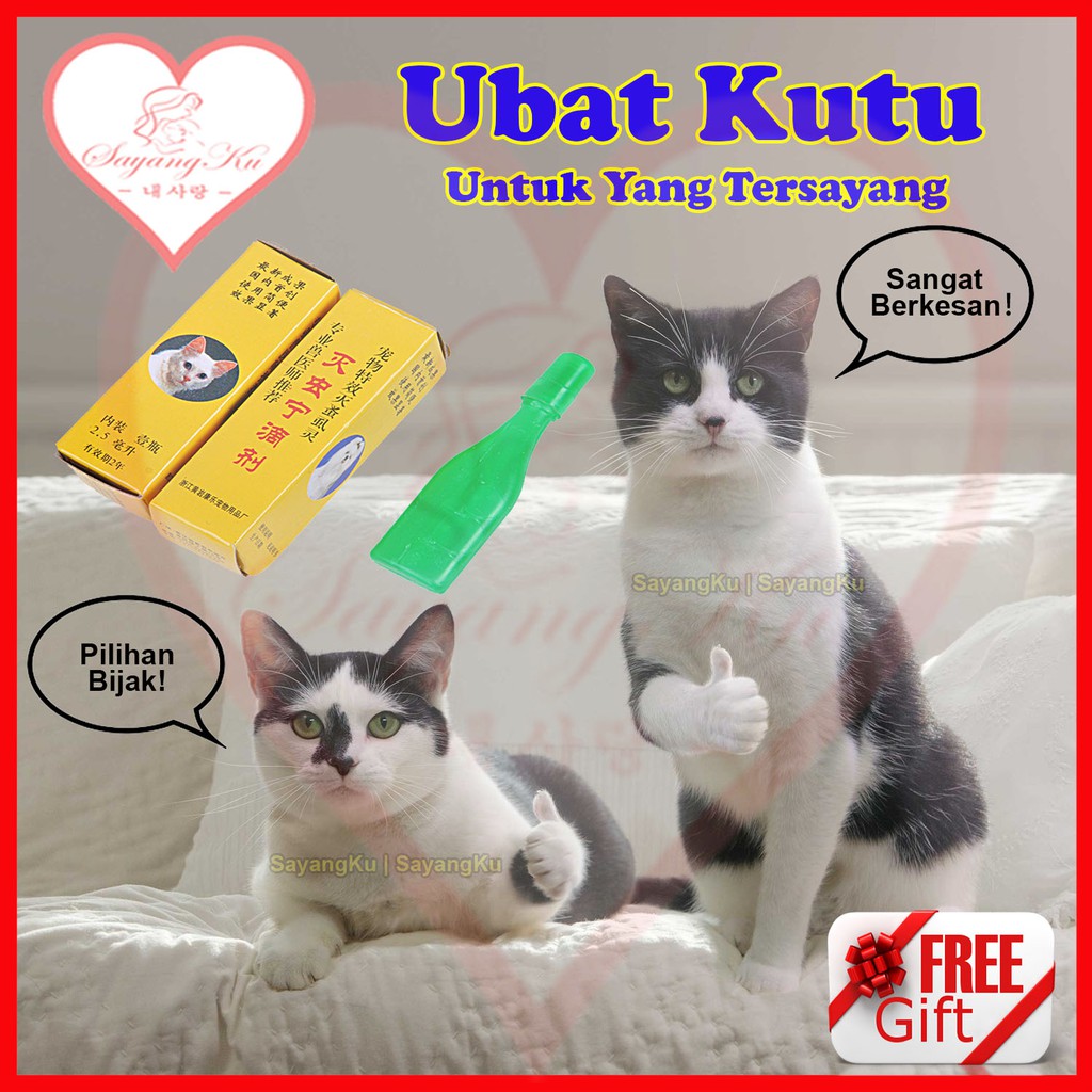 Ubat Kutu Flea Out - Pertanyaan o