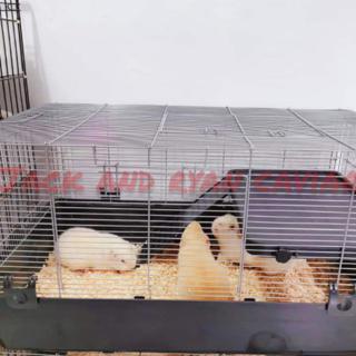 2 tier guinea pig cage