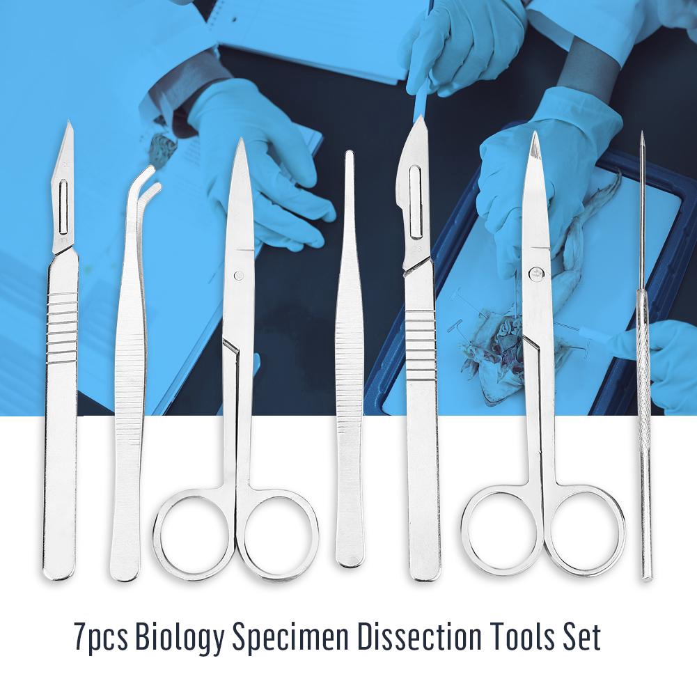 7pcs Stainless Steel Dissect Dissection Kit Biology Lab Tool Shopee