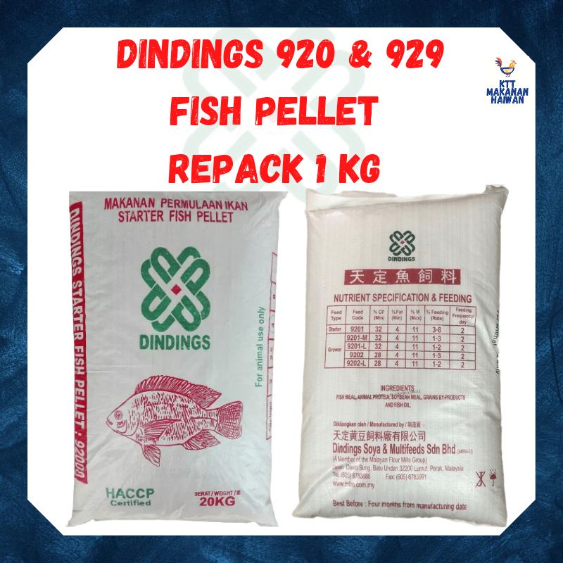 KTT Dindings 920 929 Makanan Ikan Talapia Dedak Ikan Pancing Umpan Tilapia Fish Feed Starter