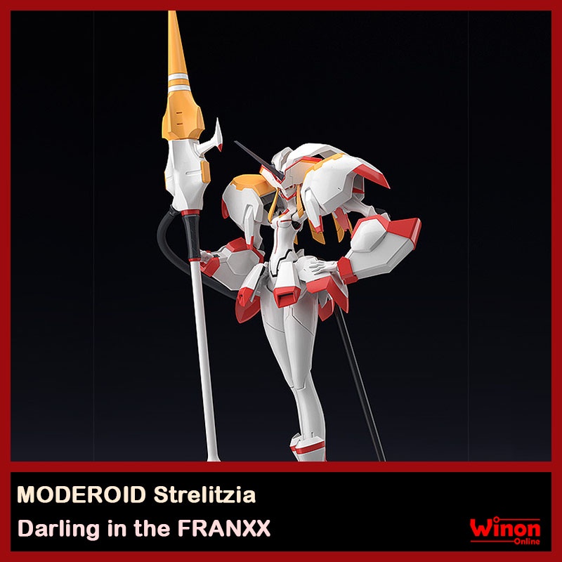 strelitzia moderoid