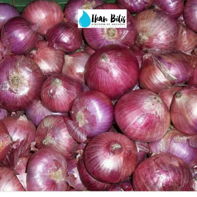 Kg besar harga bawang 1 Harga Pangan