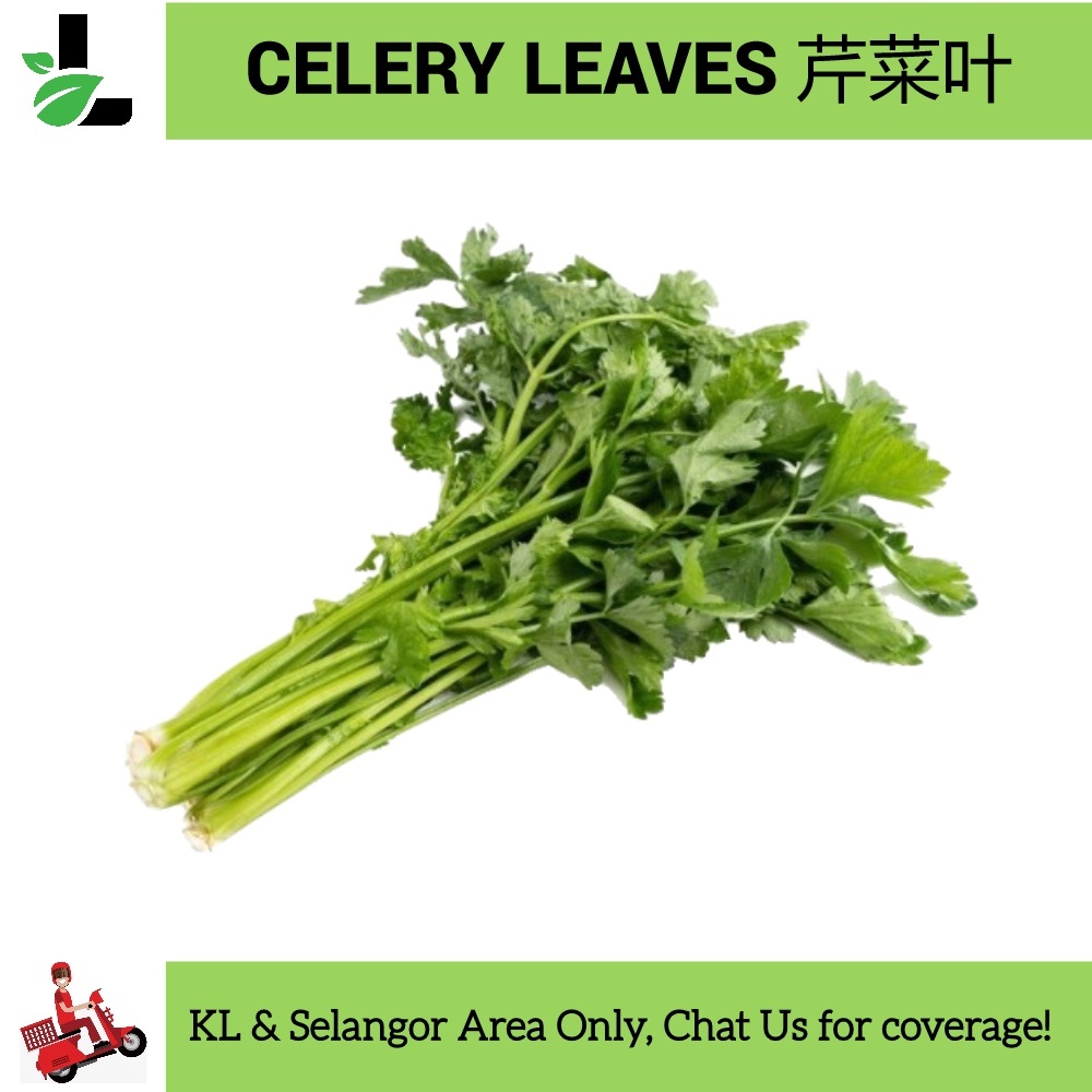 Buy Celery Leaves 100gr 芹菜叶 Daun Sup Fresh Seetracker Malaysia