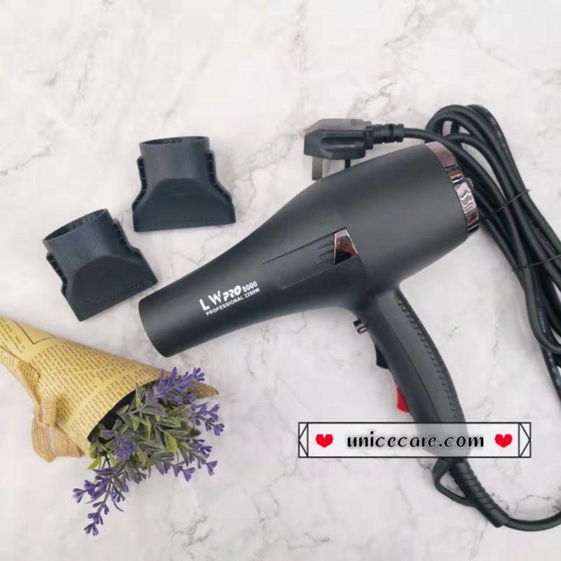 Lw Pro 8000 Professional Ionic Hairdryer