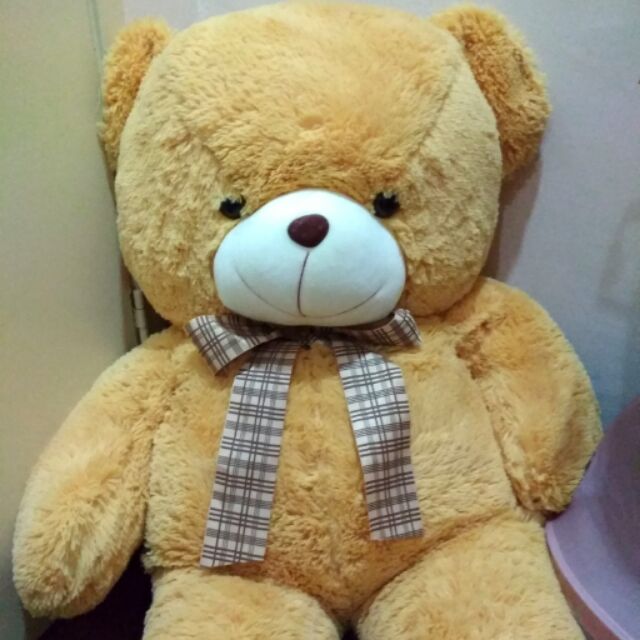 teddy bear shopee