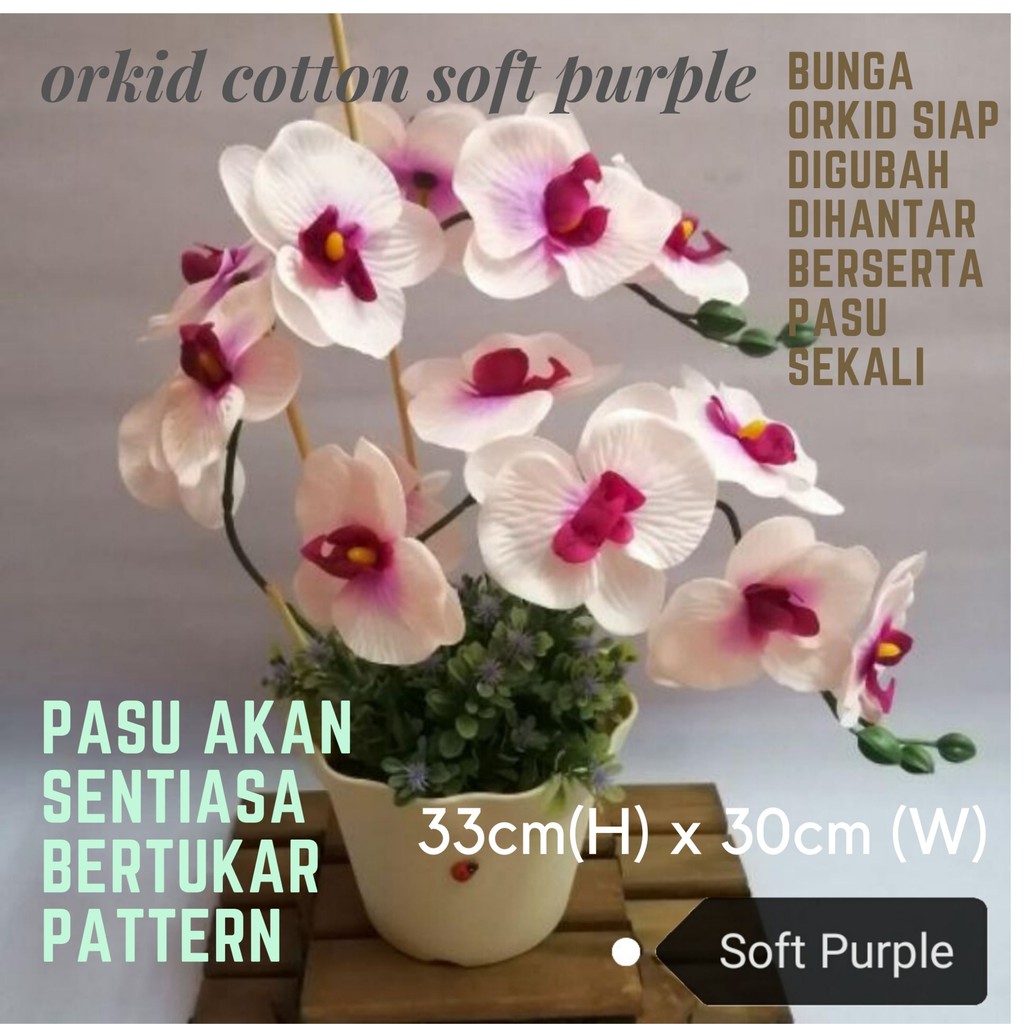  BUNGA  ORKID COTTON CANTIK MENARIK UNTUK HIASAN  DALAMAN  