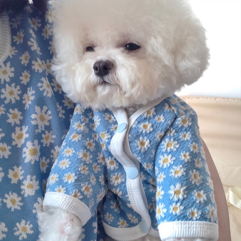 Autumn Winter Dog Sweater Daisy Knitted Cardigan Dog Clothes Cat
