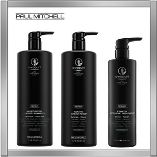 Paul Mitchell Awapuhi Wild Ginger Mirrorsmooth Shampoo High Gloss Primer Shopee Malaysia