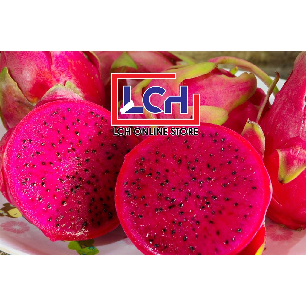 PRE-ORDER Red Dragon Fruit Direct From Farm - 300g 400g 500g 600g++ 火龙果/BUAH NAGA MERAH