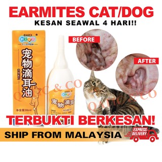 Ubat Batuk Berkahak / Cair Kahak Kucing  Shopee Malaysia