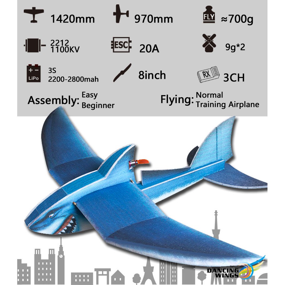 rc plane model