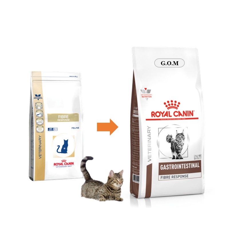 Ready Stock R C Gastro Intestinal Fibre Response Dry Cat Food 4 Kg Shopee Malaysia