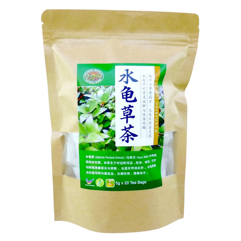 Inch Plant Tea：Kidney Failure 水龟草茶：肾衰竭