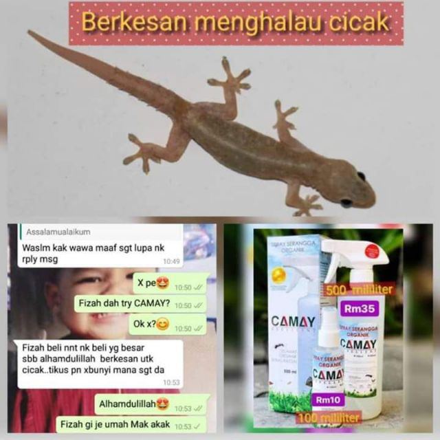 Berkesan Menghalau Cicak Shopee Malaysia